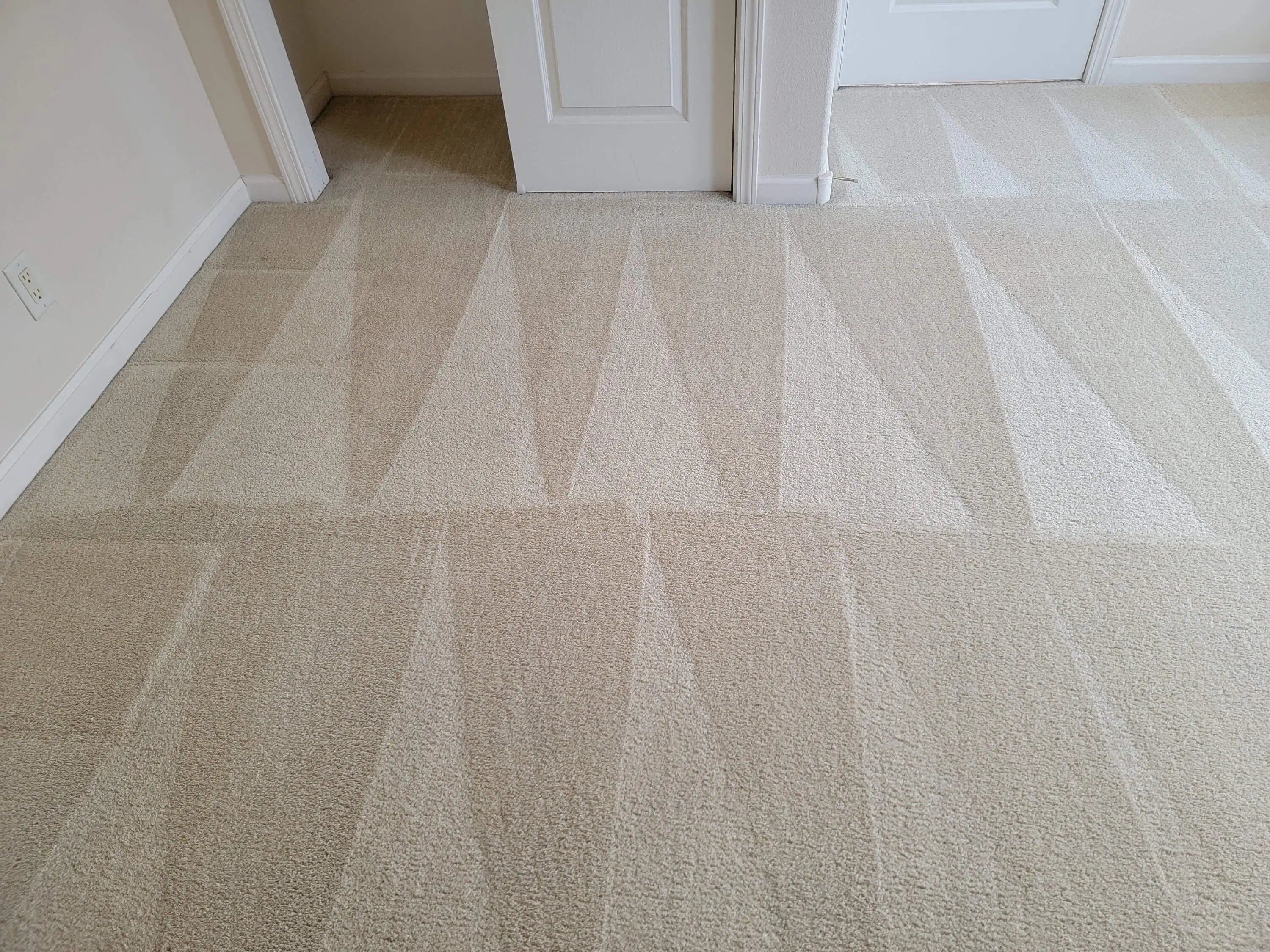 image of a carpet that has been professionally cleaned