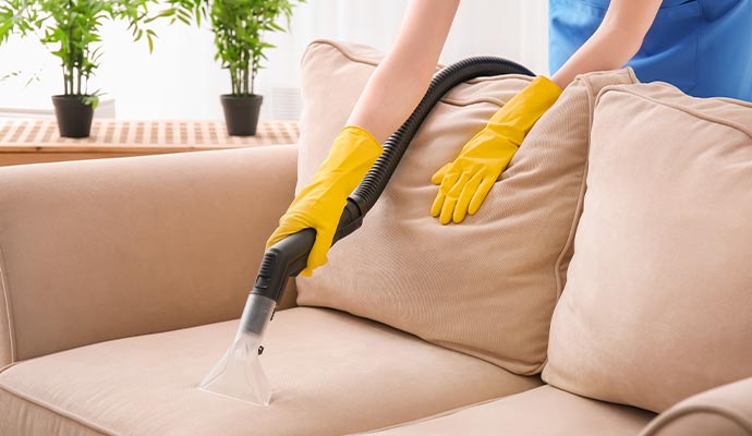 Professional worker cleaning upholstery