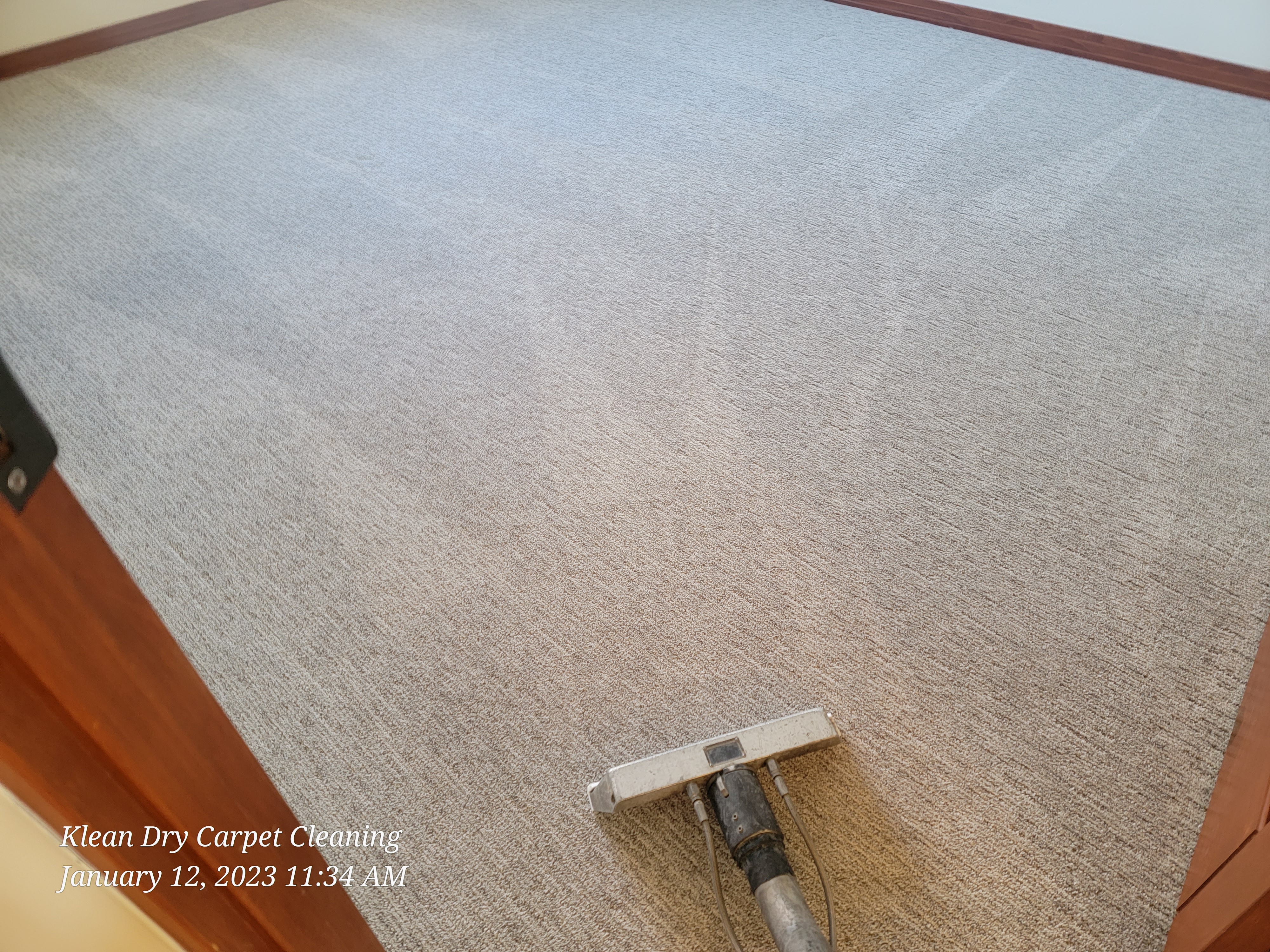 carpet maintenance