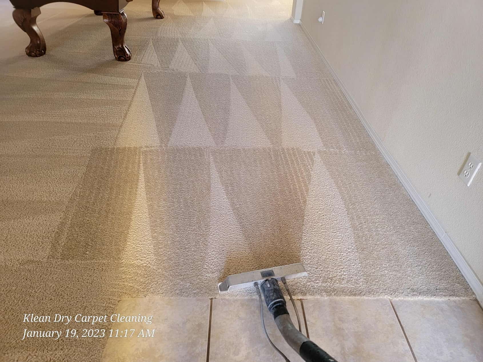 carpet cleaner near me