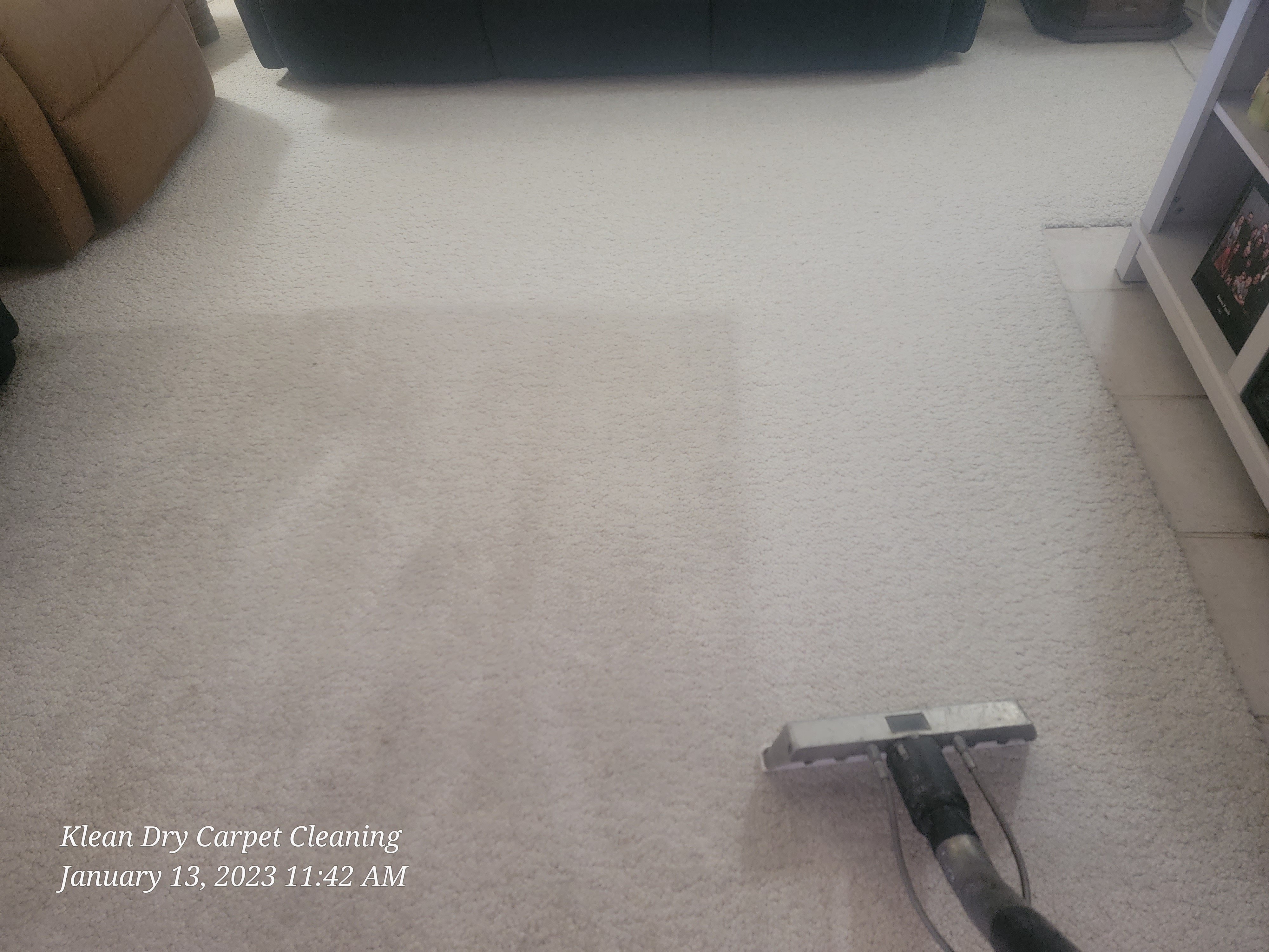carpet steam cleaning company