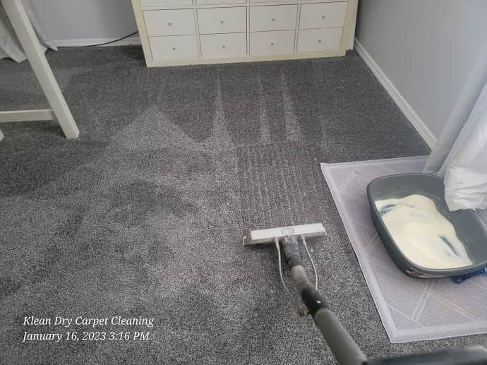 Carpet cleaning for cat urine odor