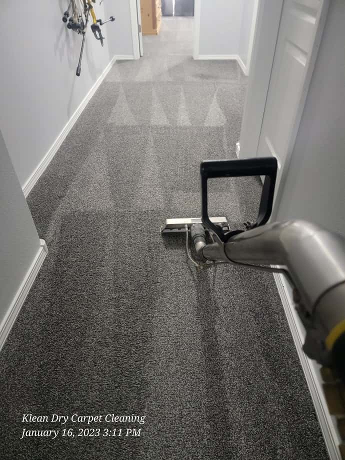 Carpet Cleaning on a Budget