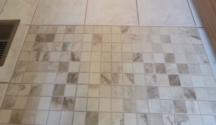 Tile & Travertine Cleaning Service with Professional Carpet Cleaning
                              Methods