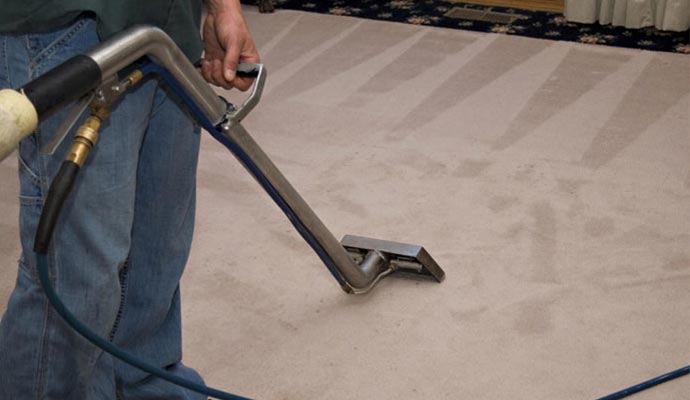 Carpets Cleaning