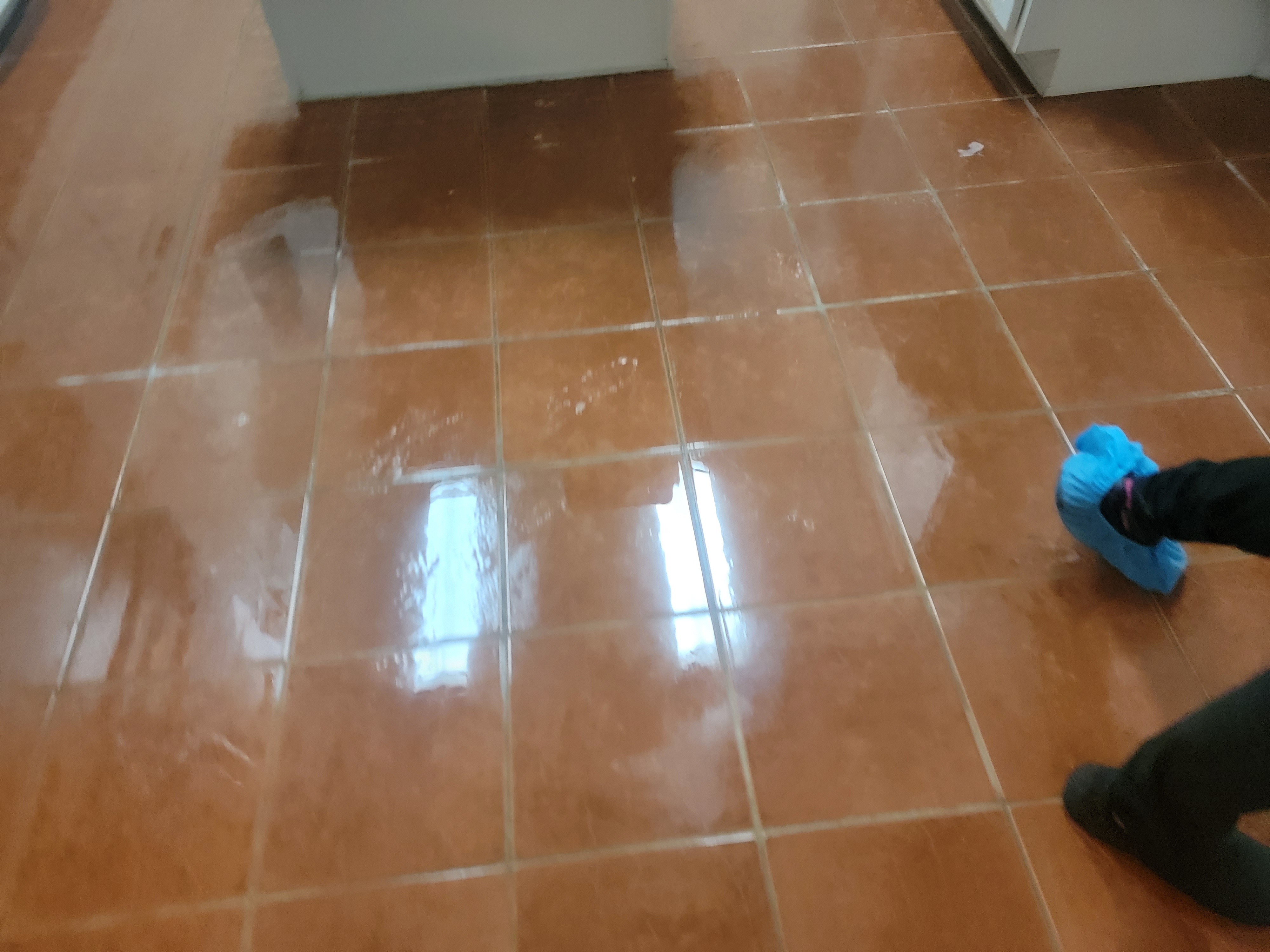 porcelain tile cleaning Abq NM 87120