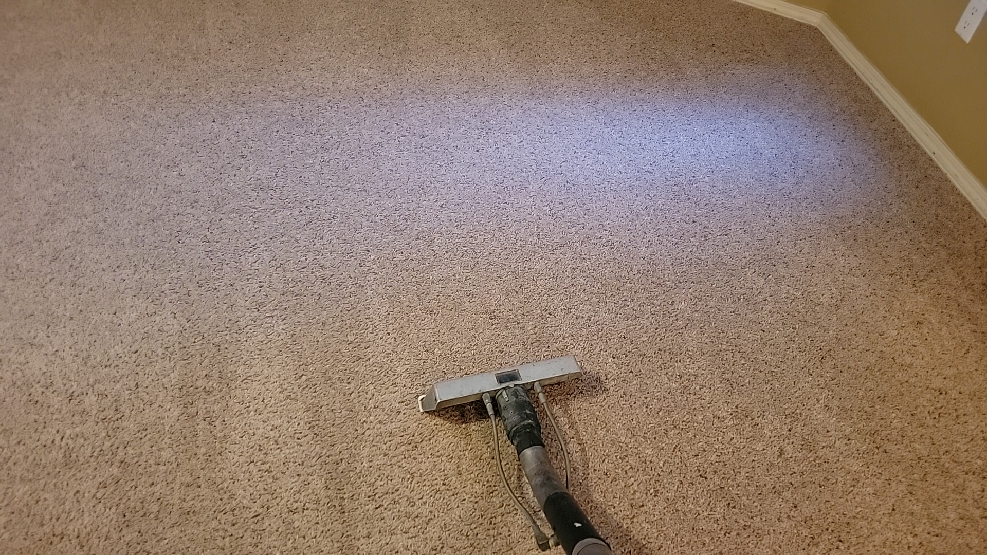 Carpet Cleaning Albuquerque
