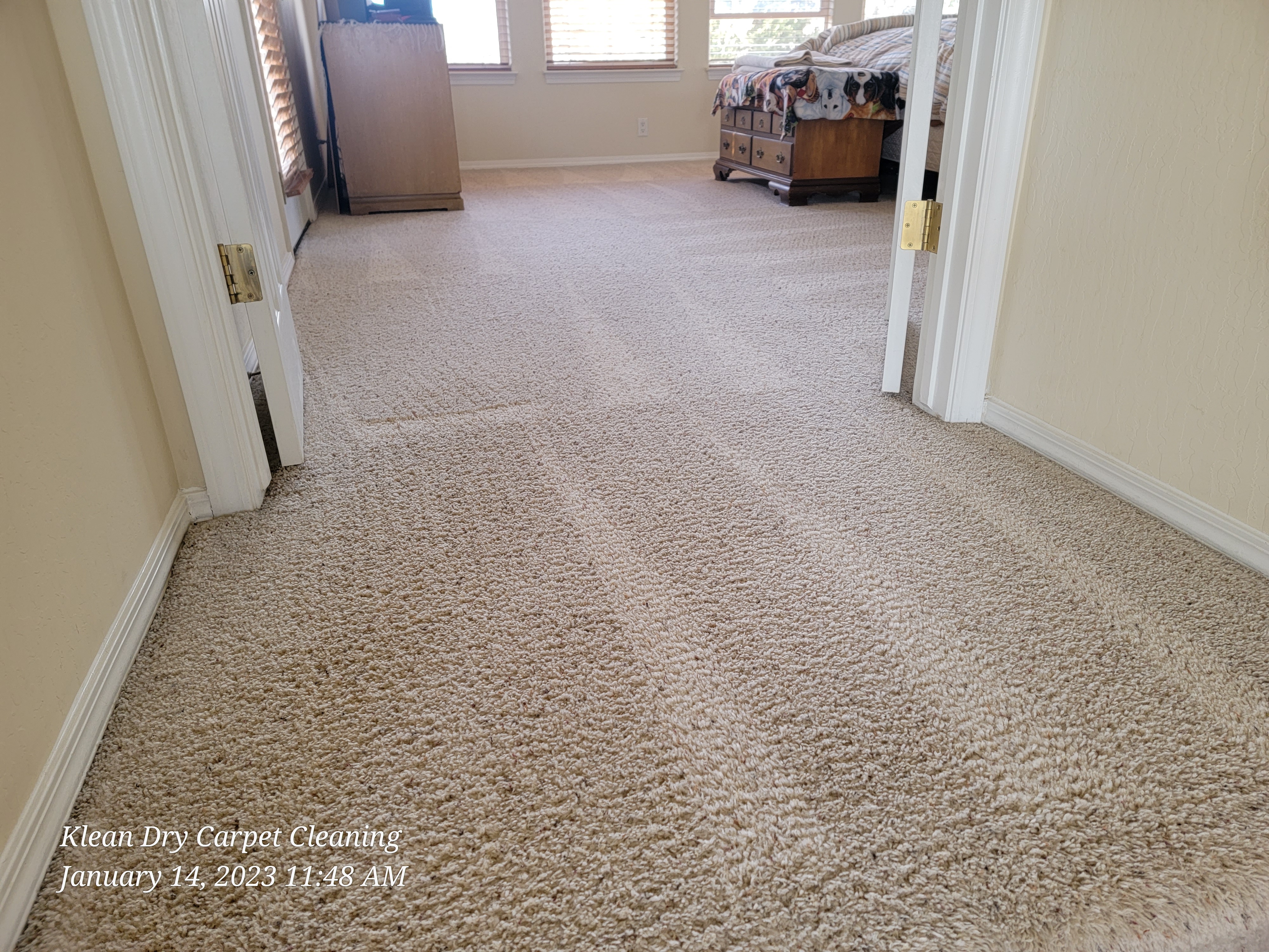 Carpet Cleaning Rio Rancho NM