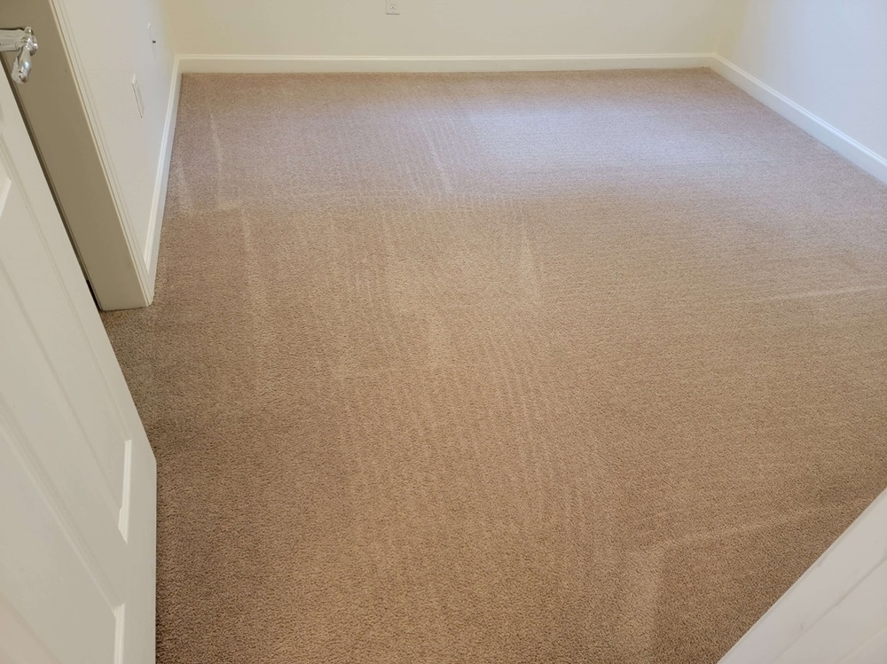 Carpet Cleaning in Rio Rancho