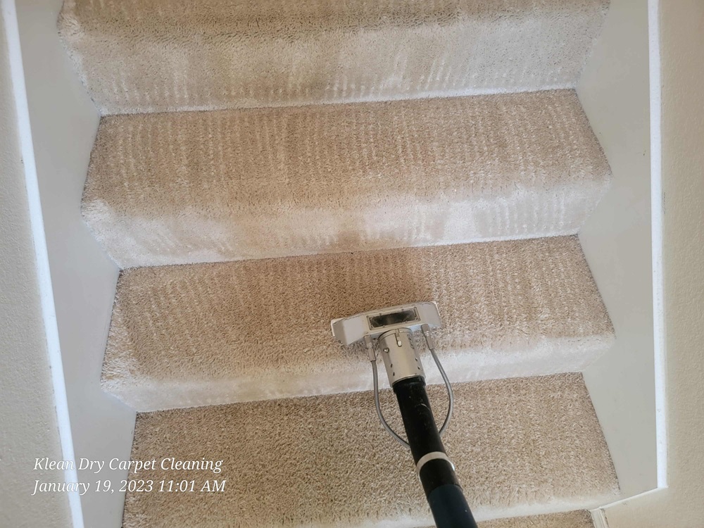 Carpet Cleaning in Rio Rancho
