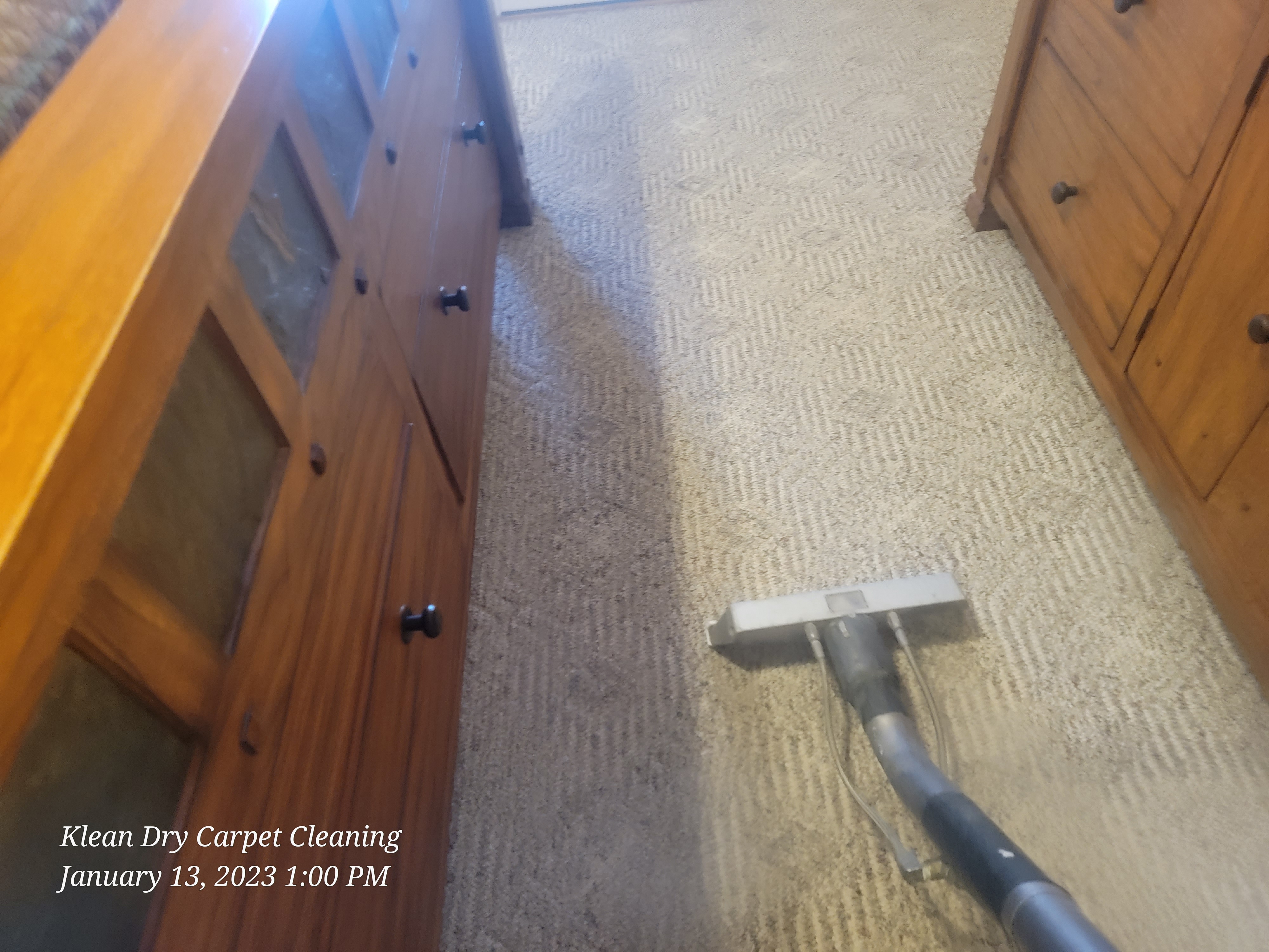 Carpet Stain Removal 