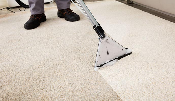 person cleaning carpet with vacuum cleaner