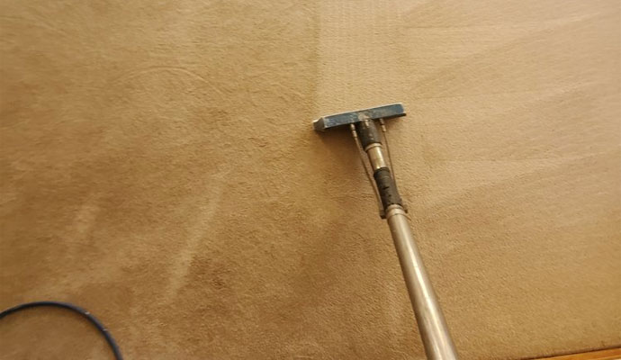 Professional Carpet Cleaning in Rio Rancho, NM