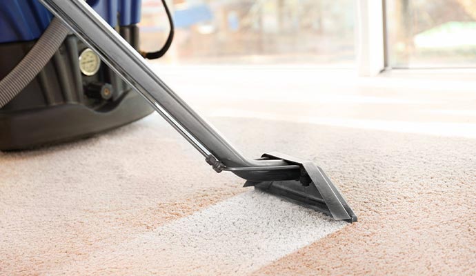 Professional carpet cleaning service