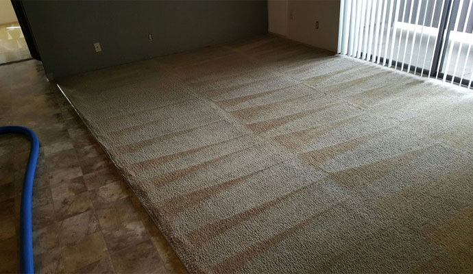 Professional Carpet Cleaning Method by Klean Dry