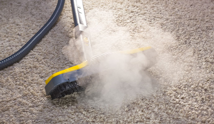 Klean Dry Steam Carpet Cleaning