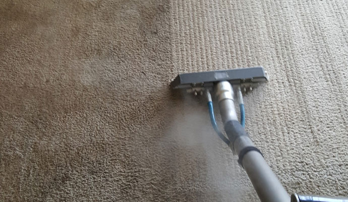 Steam Cleaning by Professionals in Albuquerque & Rio Rancho, NM