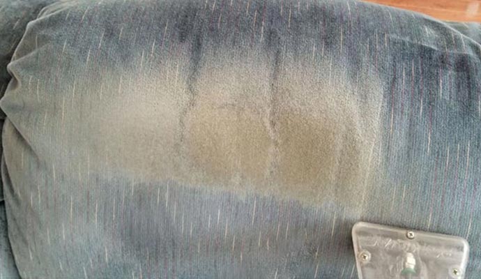 Sofa & Loveseat Cleaning in Albuquerque & Rio Rancho, NM