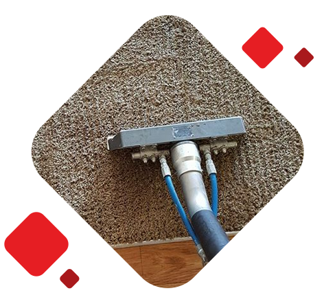 Professional Carpet Cleaning Albuquerque